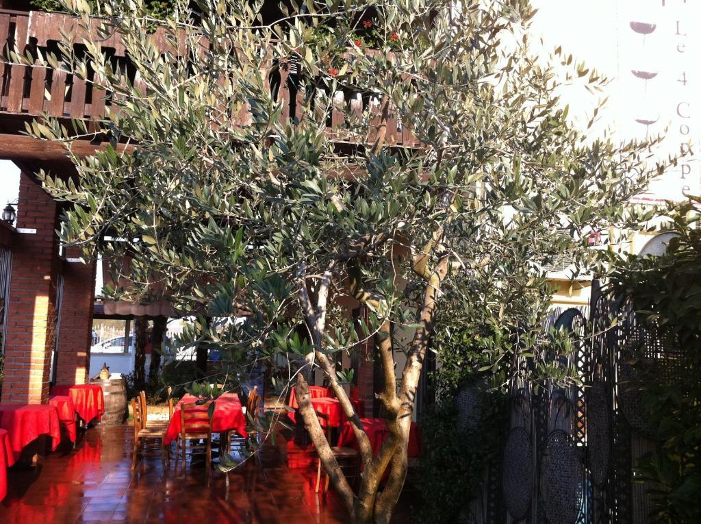 Hotel Manuela Le Quattro Coppe Desenzano del Garda Exteriér fotografie